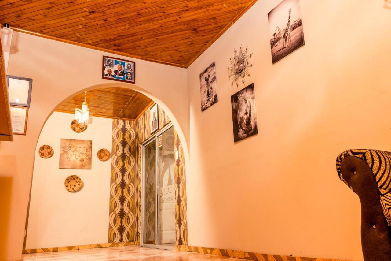 Apical Guesthouse Maun Dış mekan fotoğraf